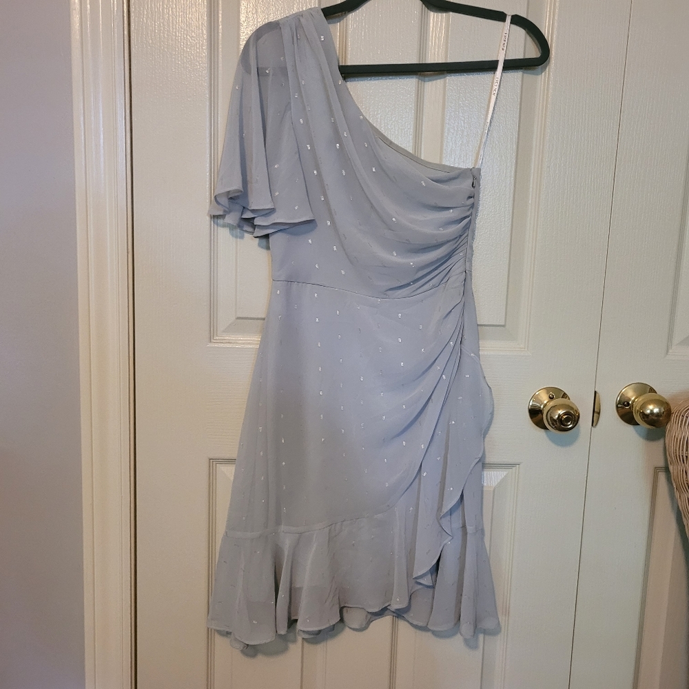 Soft Blue One Shoulder Ever New Melbourne Dress